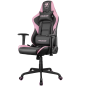 COUGAR Armor Elite Eva Gaming Chair, Adjustable Design, Breathable PVC Leather, Class 4 Gas Lift Cylinder, Full Steel Frame, 2D 