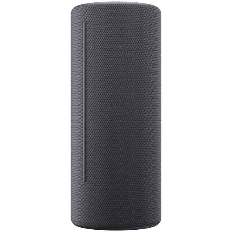 WE. HEAR 2 By Loewe Portable Speaker 60W, Storm Grey