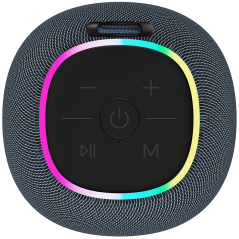 CANYON speaker BSP-8 10W Gray