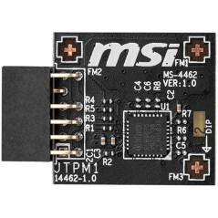 MaxMag|MSI