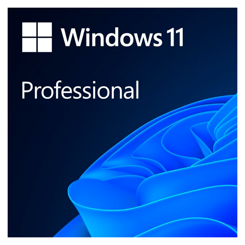 Microsoft Windows Professional 11 64-bit All Languages Online Product Key License 1 License Downloadable ESD NR