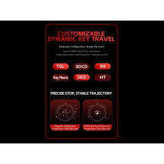 Madlions професионална геймърска механична клавиатура Professional Gaming Mechanical Keyboard MAD 60 PRO - Black, 8K, Sealed Sil