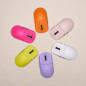 VXE професионална геймърска мишка Wireless Gaming Mouse Dragonfly R1 Pro Max 1K (4K compatible) - Kailh White Blade Switches, Ye