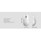 Pulsar професионална геймърска мишка Wireless Gaming Mouse X2 v3 Size1 White - 1K (8K compatible) Pulsar професионална геймърска мишка Wireless Gaming Mouse X2 v3 Size1 White - 1K (8K compatible)
