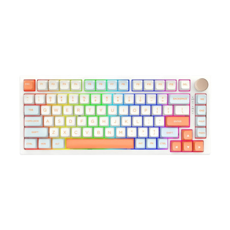 VGN професионална геймърска механична клавиатура Professional Gaming Mechanical Keyboard N75 RGB Jelly Orange - Power Silver Swi