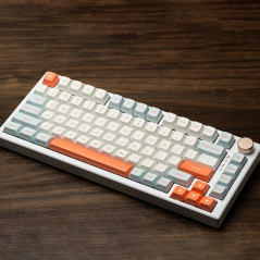 VGN професионална геймърска механична клавиатура Professional Gaming Mechanical Keyboard N75 RGB Jelly Orange - Power Silver Swi