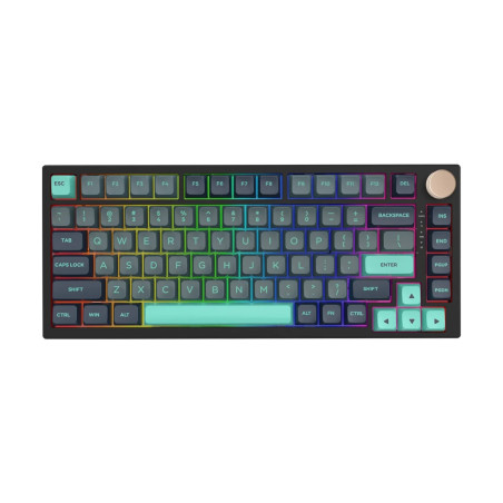 VGN професионална геймърска механична клавиатура Professional Gaming Mechanical Keyboard N75 RGB Caribbean Blue - Power Silver S