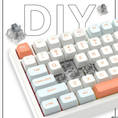 VGN професионална геймърска механична клавиатура Professional Gaming Mechanical Keyboard N75 RGB Caribbean Blue - Power Silver S