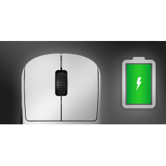Endgame Gear професионална геймърска мишка OP1w 4K - Wireless Gaming Mouse - White