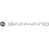 GAINWARD